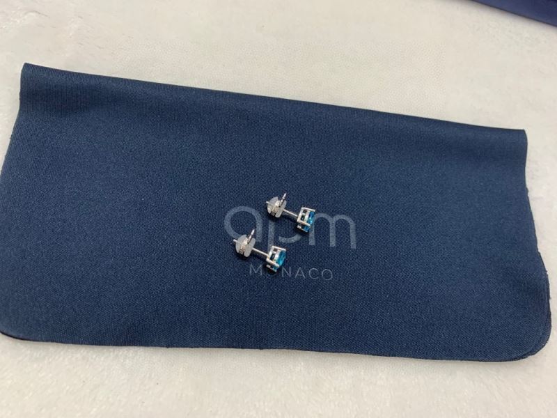 Apm Earrings